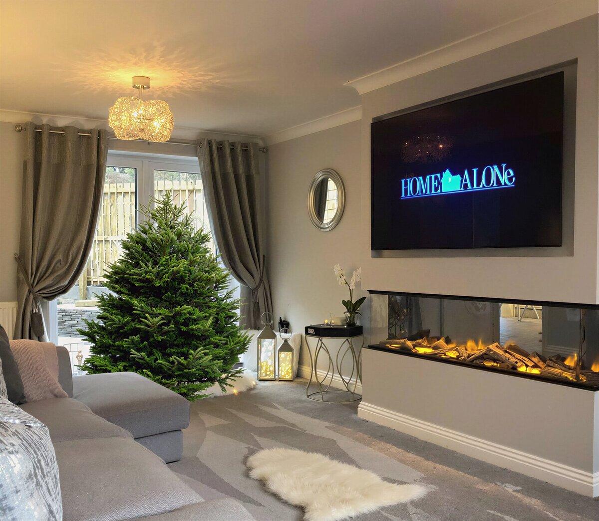 Датская Пихта Нордмана view 2